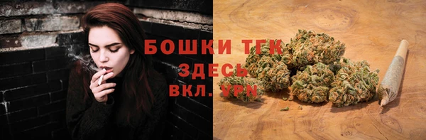 дмт Богородск