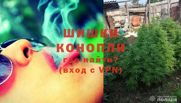 соль ск Богданович