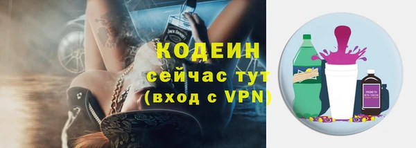 соль ск Богданович