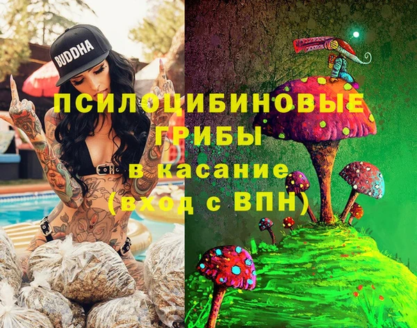 дмт Богородск
